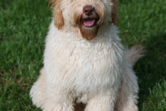 IMG_8091-e1541535340310