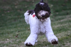 MG_5698-1-e1536850373475