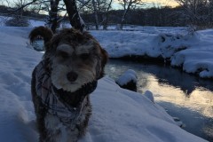 Skye-11