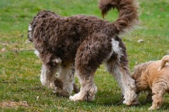 Skye-7
