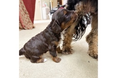 1_PicTapGo-2025-10-31-132535