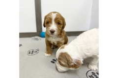 PicTapGo-2025-10-31-112952