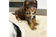 PicTapGo-2025-10-31-113624