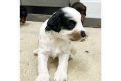 PicTapGo-2025-10-31-113633