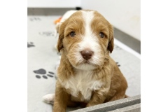 PicTapGo-2025-10-31-113644