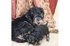 PicTapGo-2025-10-31-113658