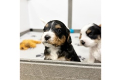 PicTapGo-2025-10-31-132535